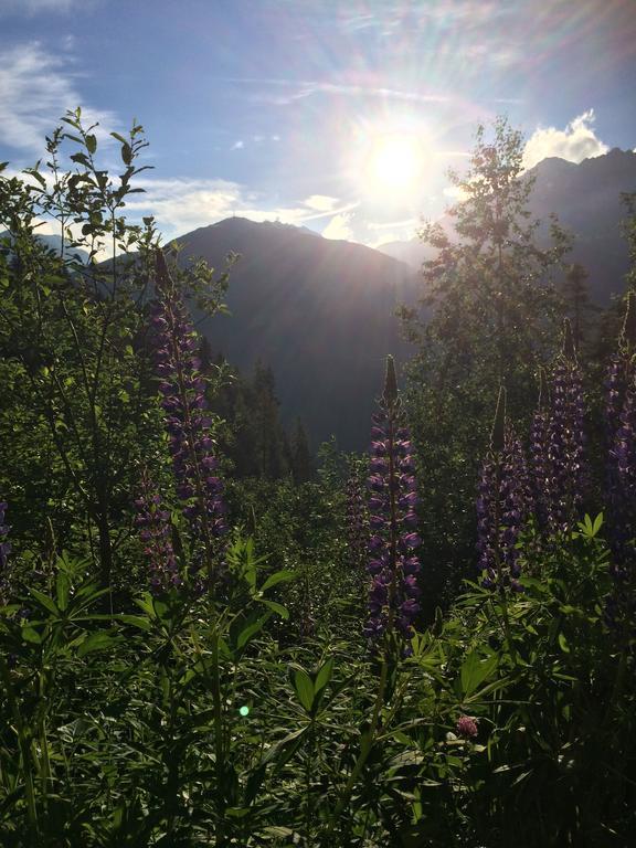Haus Hannes Spiss St. Anton am Arlberg Zewnętrze zdjęcie